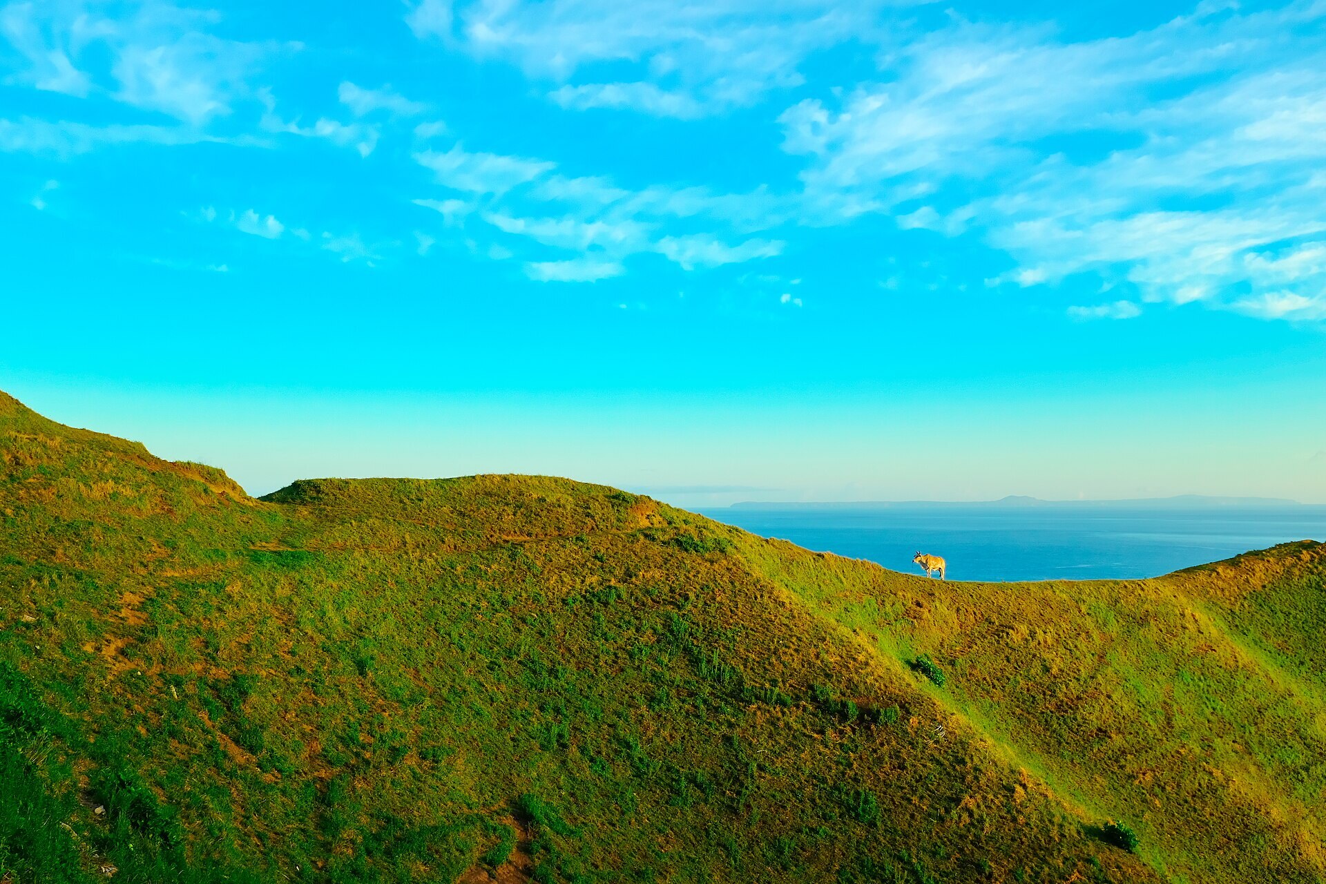 Vayang rolling hills dropping to the sea